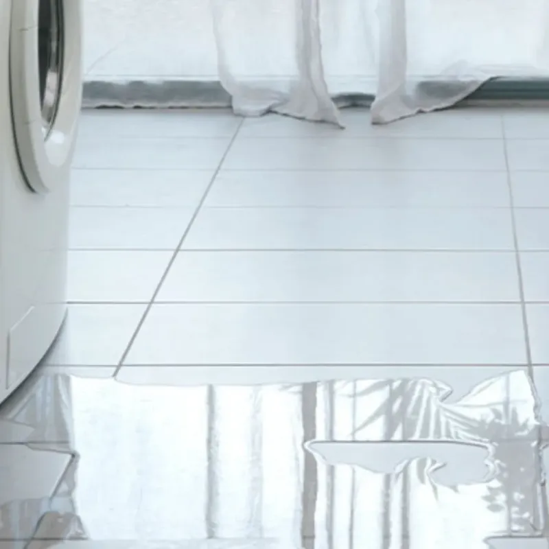 Appliance Leak Cleanup in Lincolnton, GA